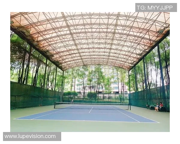 重庆网球队的控制策略与发展现状深度解析